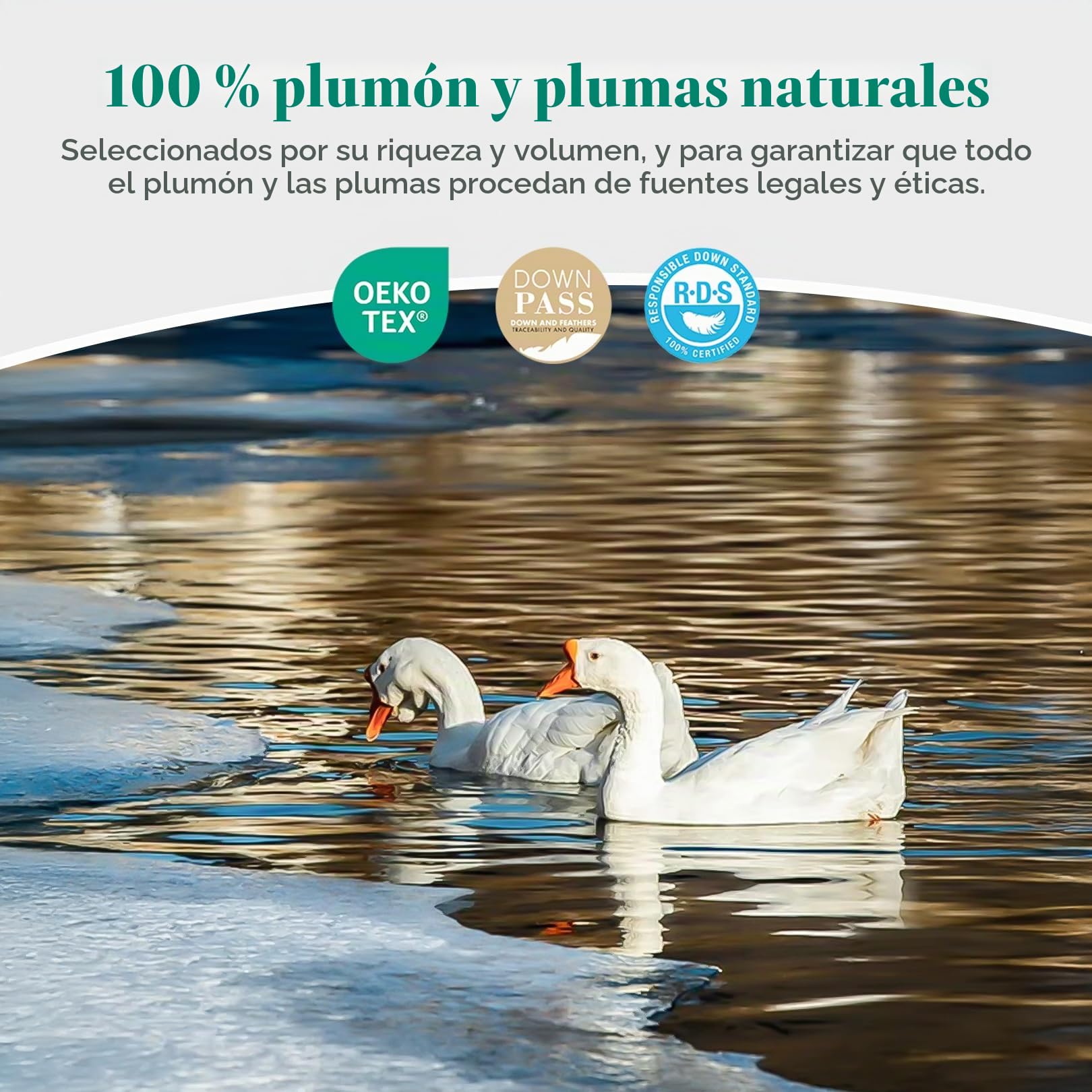APSMILE Edredón de 70% Plumas y 30% Plumón para Cama 90, Edredón Relleno Nórdico Verano 300gr/㎡, Mezcla de Algodón Egipcio, Muy Suave y Cómodo, Certificado Oeko-Tex y RDS(Blanco, 155x220cm)