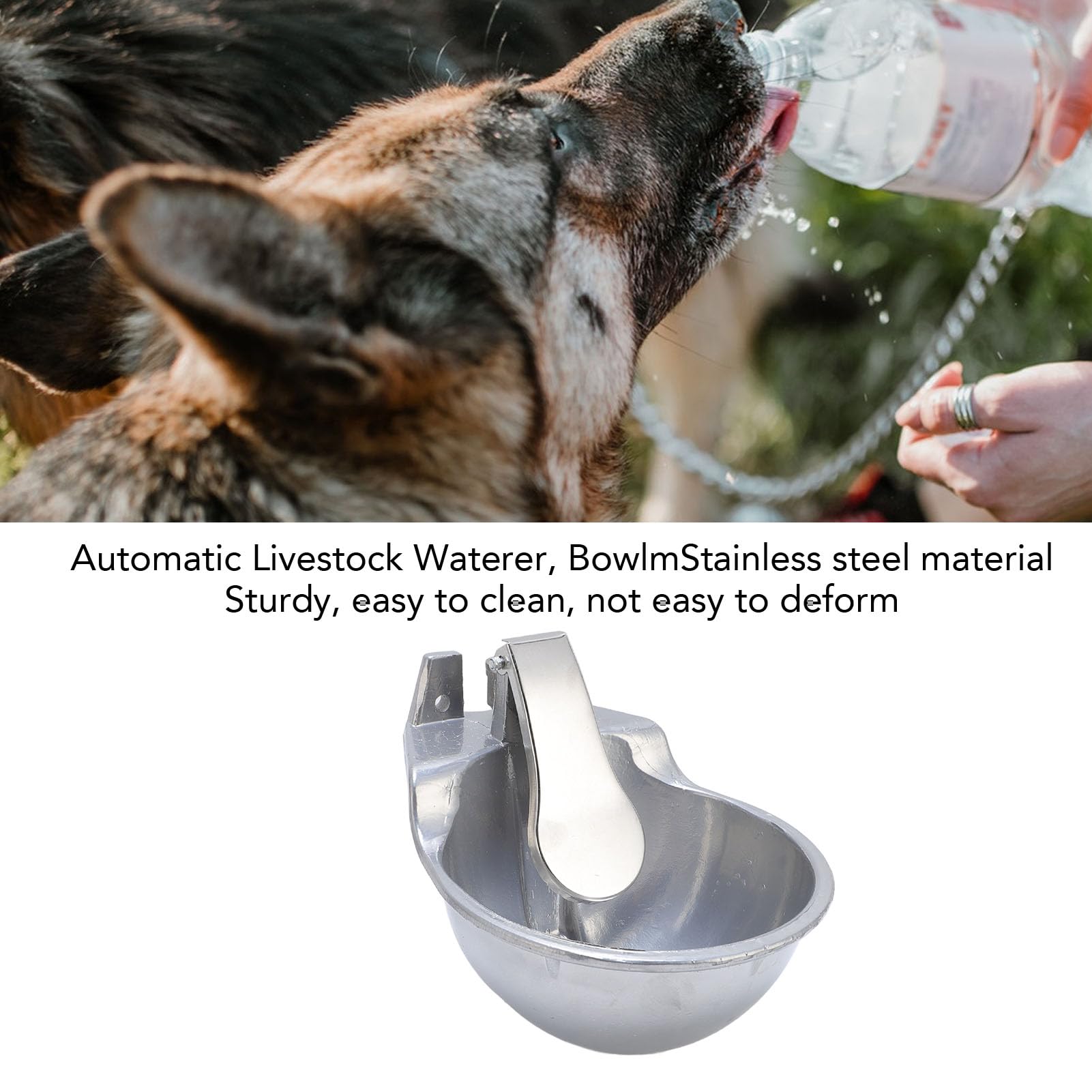 Bebedero Automático para Caballos, Solución Eficiente para Beber, para Ganado, Perros, Acero Inoxidable, 1 Paquete