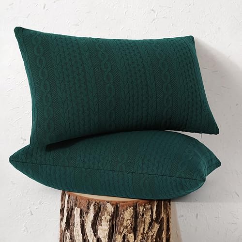 Cikary Juego de 2 fundas de almohada lumbar de 12 x 20 pulgadas para sofá cama con patrón de cuerda torcida en relieve, fundas de almohada elásticas
