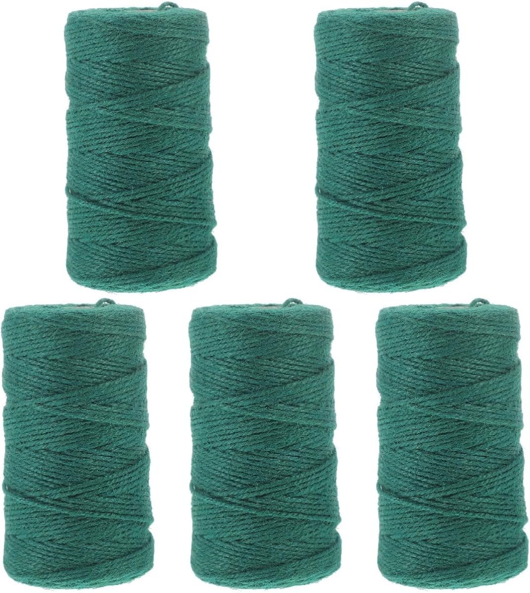 TEHAUX 5rolls Natural Jute Twine of Decorative Jute Rope for Crafting Gardening and Wrapping and Easy to Cut for Projects and Holiday Decor