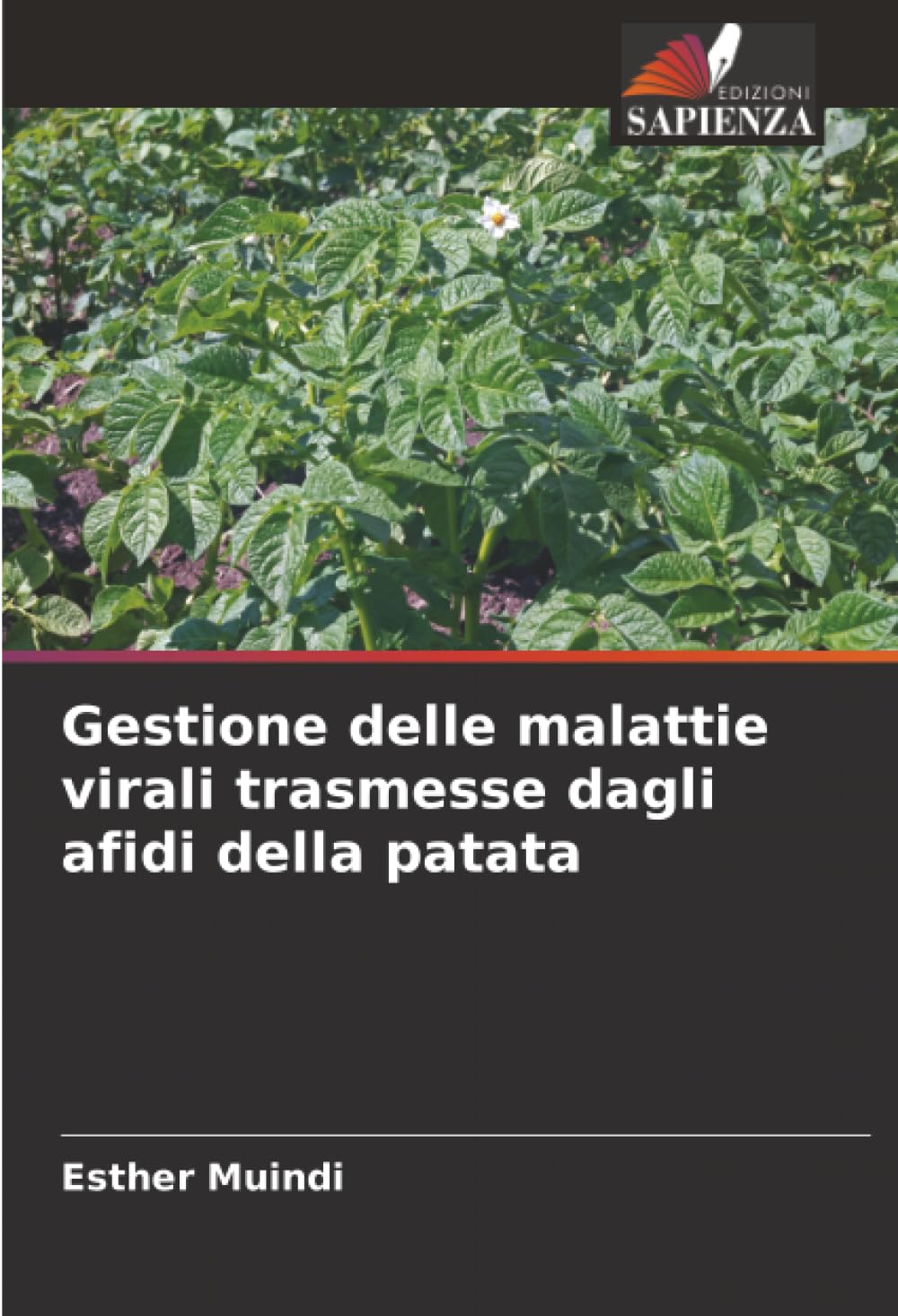 Gestione delle malattie virali trasmesse dagli afidi della patata