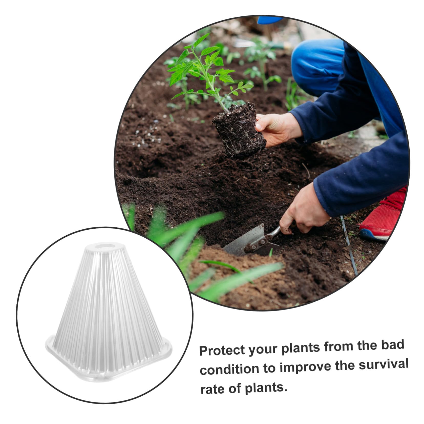 BESPORTBLE Cloche de Protection Conique pour Plantes et Légumes en Pet, 10 Pièces, Ombrage et Protection, Installation Facile pour Jardinage Intérieur et Extérieur
