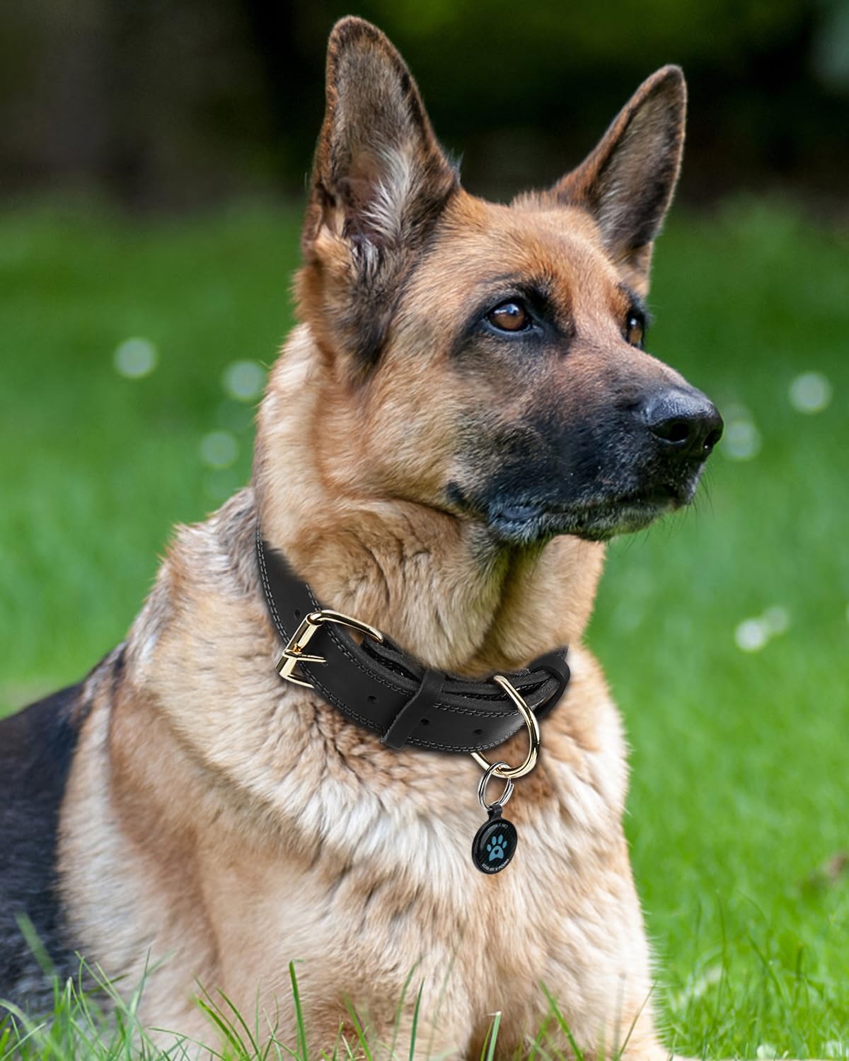 Joytale Genuine Leather Dog Collar with Metal Buckle, Heavy Duty Soft and Durable Leather Collars - Image 2