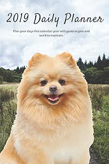 2019 Daily Planner Plan your days this calendar year with goals to gain and work to maintain.: Cute Pomeranian Dog Appointment Book for Hourly, ... Notes & To-Do List: 6 x 9 in (15.2 x 22 cm) - coolthings.us