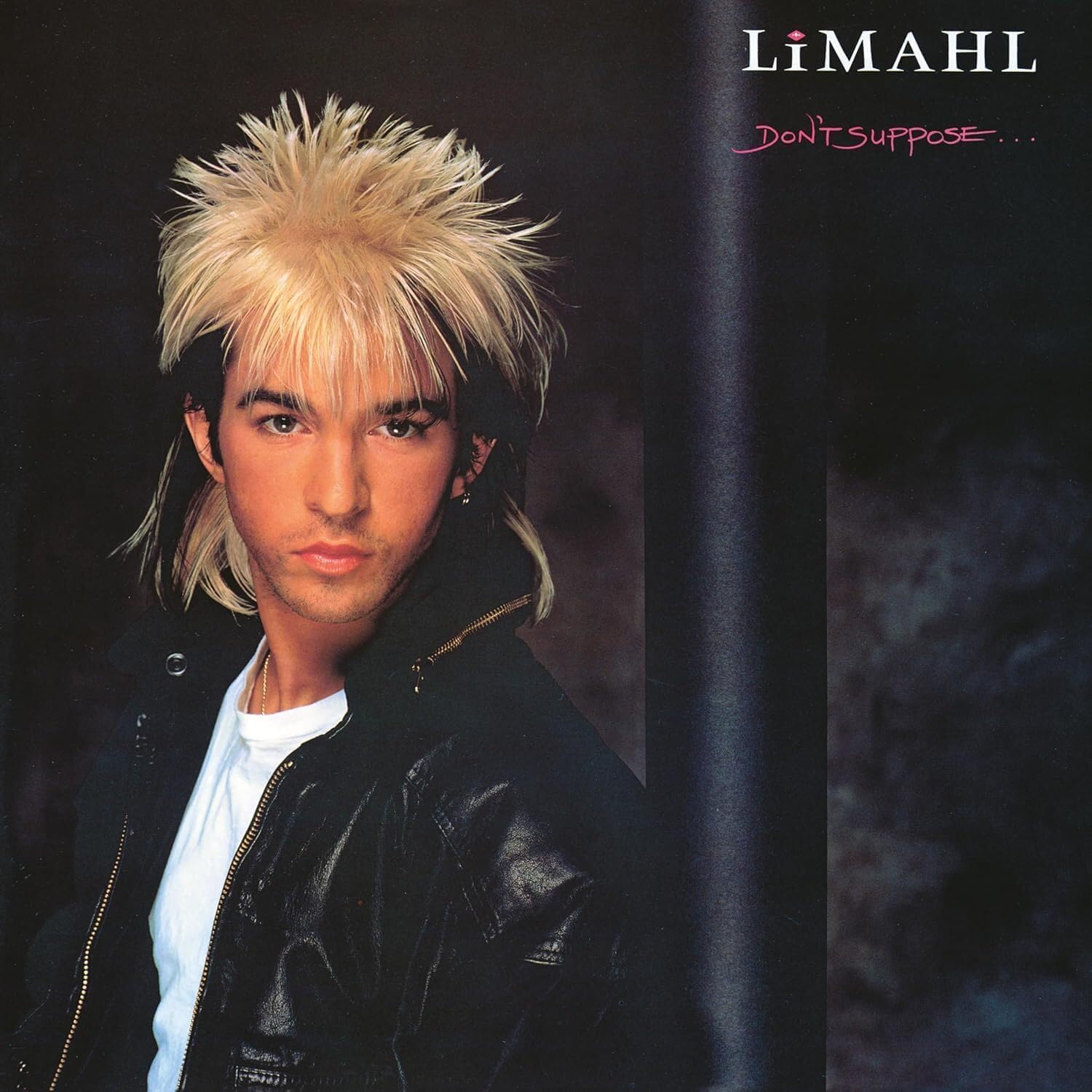 Don't Suppose (40th Anniversary) por Limahl — capa do álbum