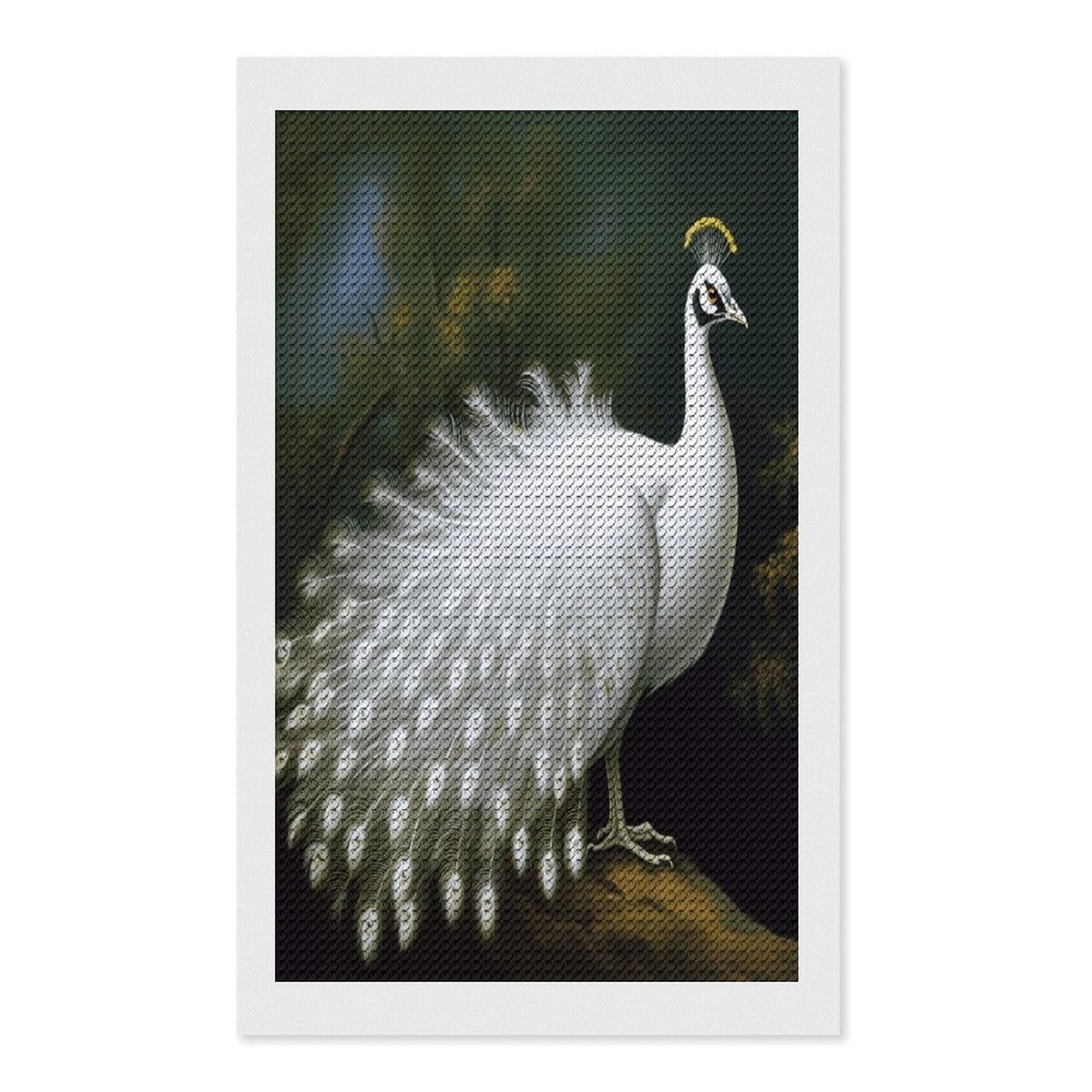 FekiLoot White Peacock Diamond Art Kits for Adults Diamond Painting Kits for Beginners DIY Diamond Art Kits Round Full Drill Diamond Dot Gem Painting for Home Wall Decor Gift 12"x20"