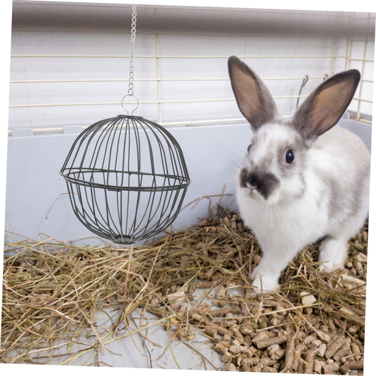 Yardwe 4stücke Kaninchen Heuball Futterspender Hängende Futterstation Für Meerschweinchen Und Chinchillas Spielzeug Und Futterkombination Für Kleinen Haustiere