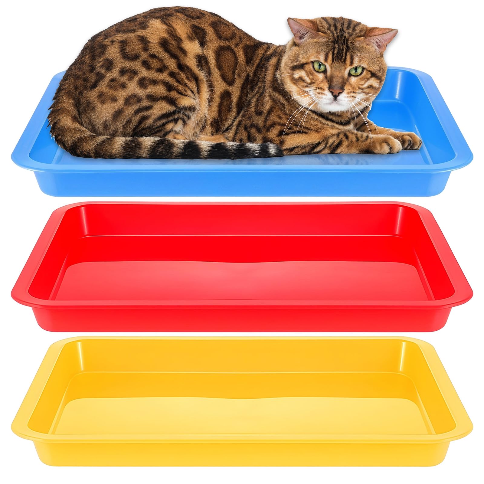 Bac à litière basse simarro pour éducation des chatons et lapins en appartement