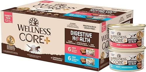 Wellnes CORE - Alimento húmedo natural para gatos sin granos, estómago sensible, fácilmente digerible (salmónpescado blanco, lata de 3 onzas,