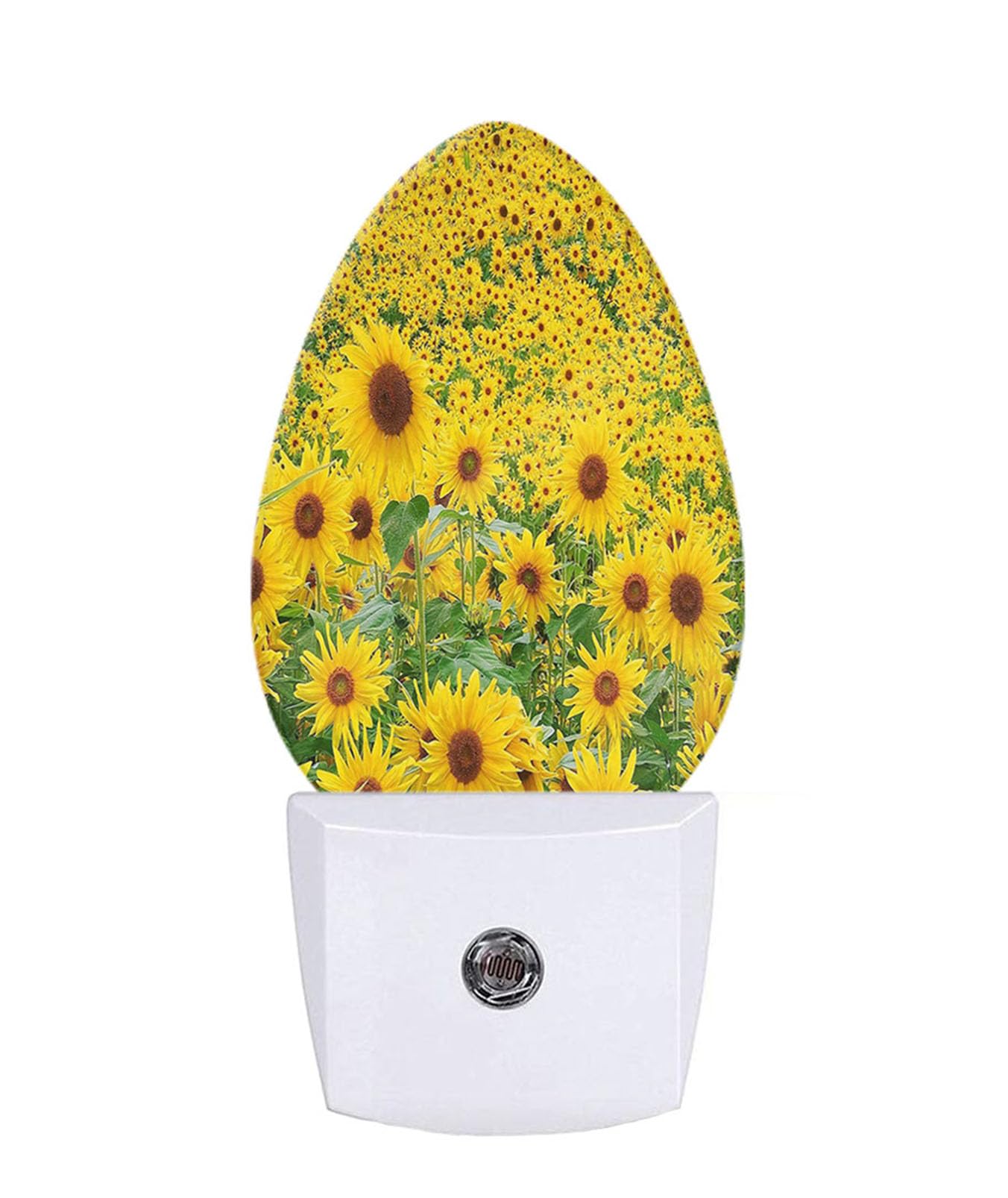 Sunflowers Night Light Golden Yellow Flowers Spring Summer Floral Garden Plug-in Nightlight Energy Saving 0.5W LED Lighting for Boys Girls Men Women