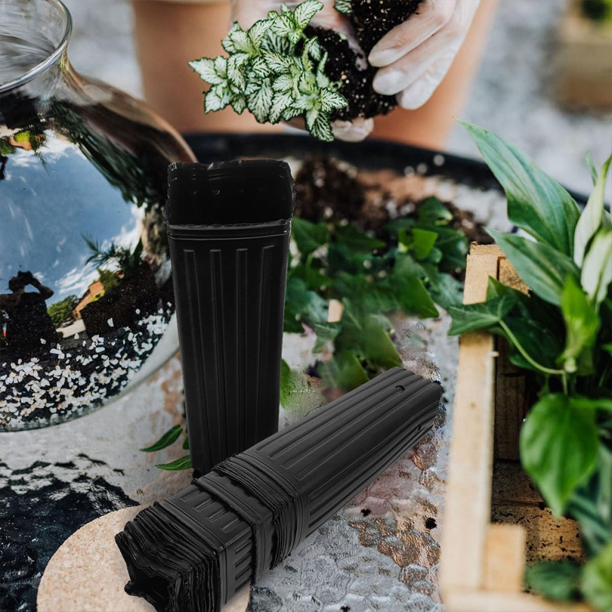 FRCOLOR 60 Godets pour Semis en Plastique Noir PP, Pots de Culture Multi-usages Perméabilité à l'eau, 60 Pièces, pour Légumes et Jeunes Plants