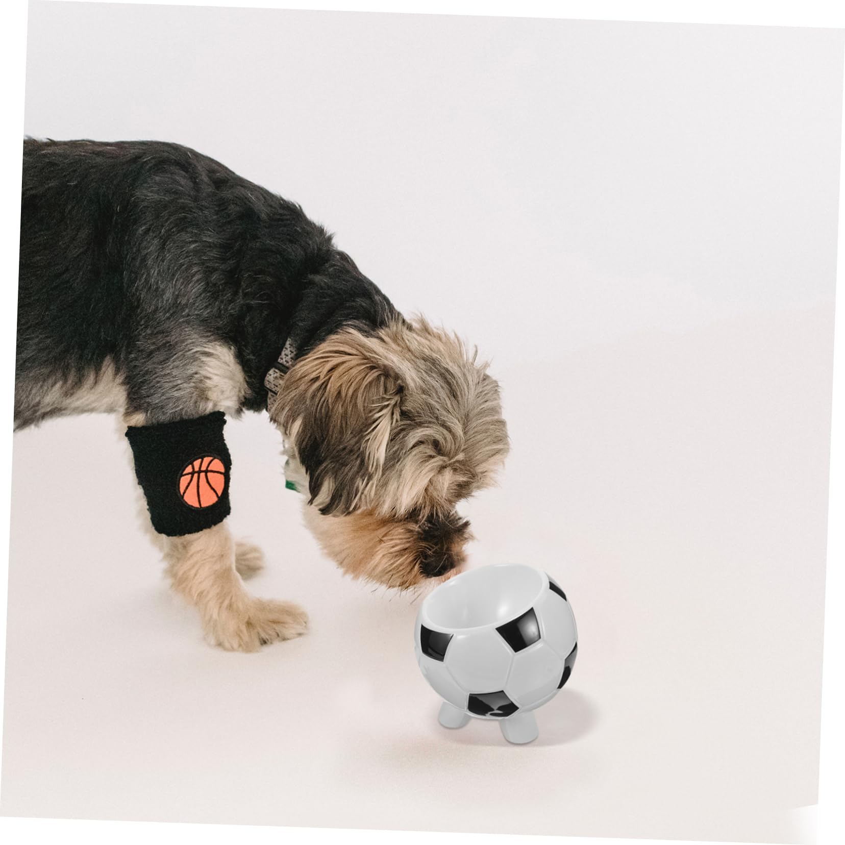Ciotola per Animali da Calcio in Ceramica Facile da Lavare | Pappa Gatto e Cane, Texture Liscia, Uso per Pet Supply, Adatta a Ogni Occasione
