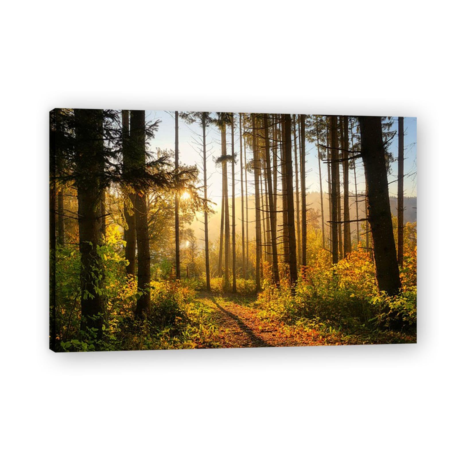 Toile murale paysage forestier xukgmsg tableau nature 75x50cm