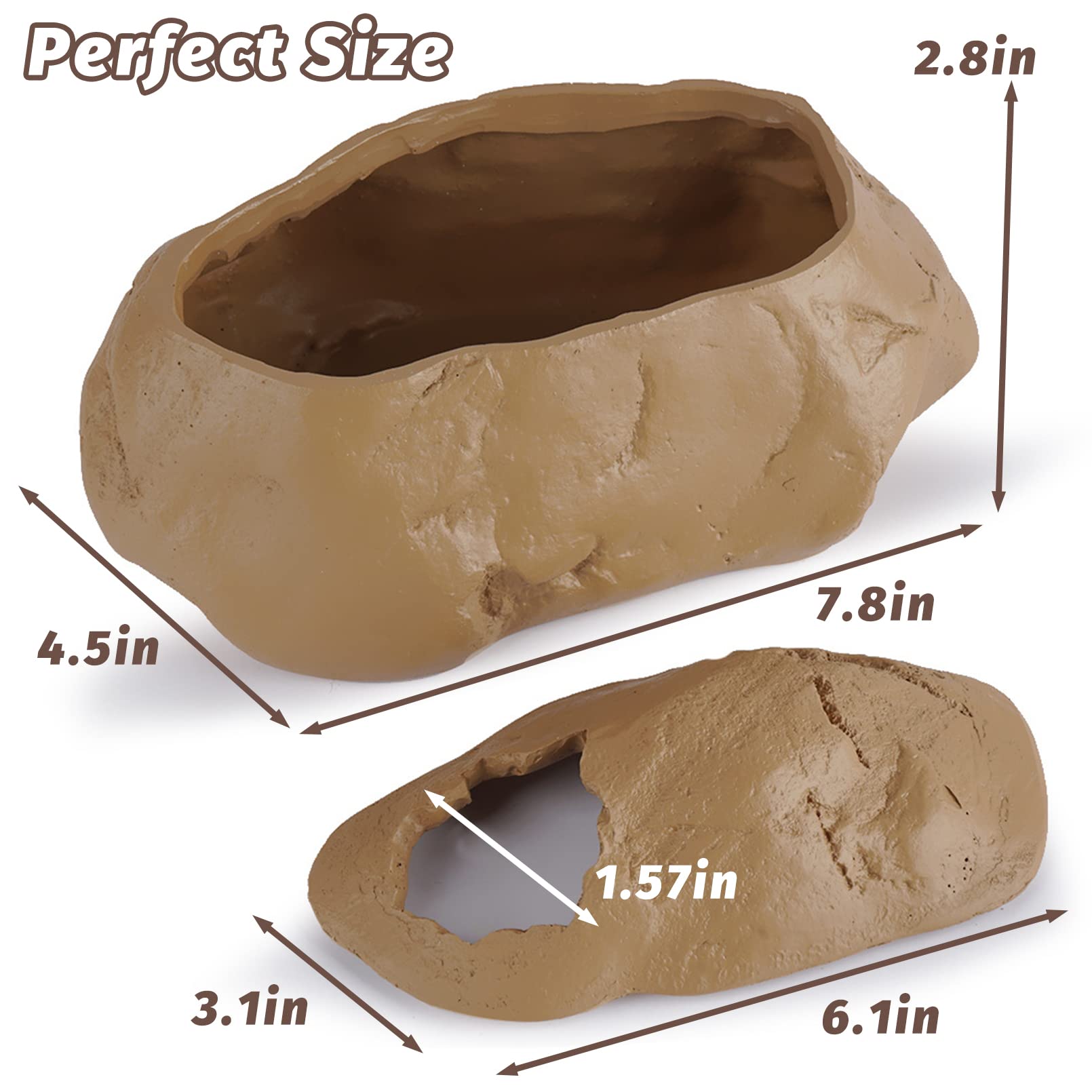 Amazon | PINVNBY 蛇隠し 洞窟 ヤモリの脱落用 樹脂製 岩の