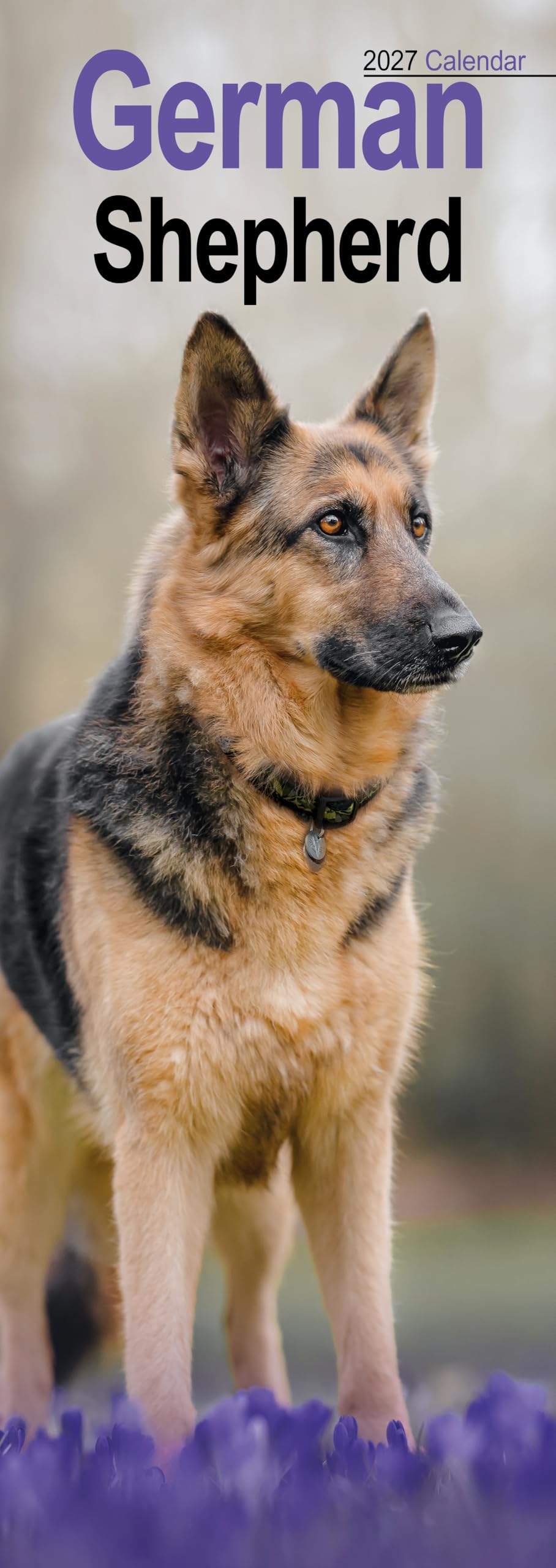 German Shepherd 2027 Slim Month To View Wall Calendar