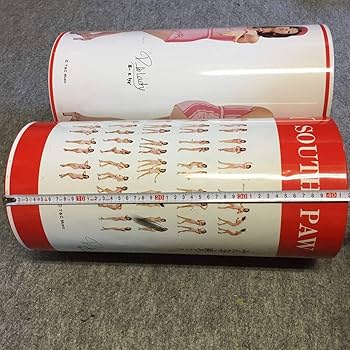 Amazon.co.jp: ピンクレディー ゴミ箱 サイン ブロマイド 2個セット