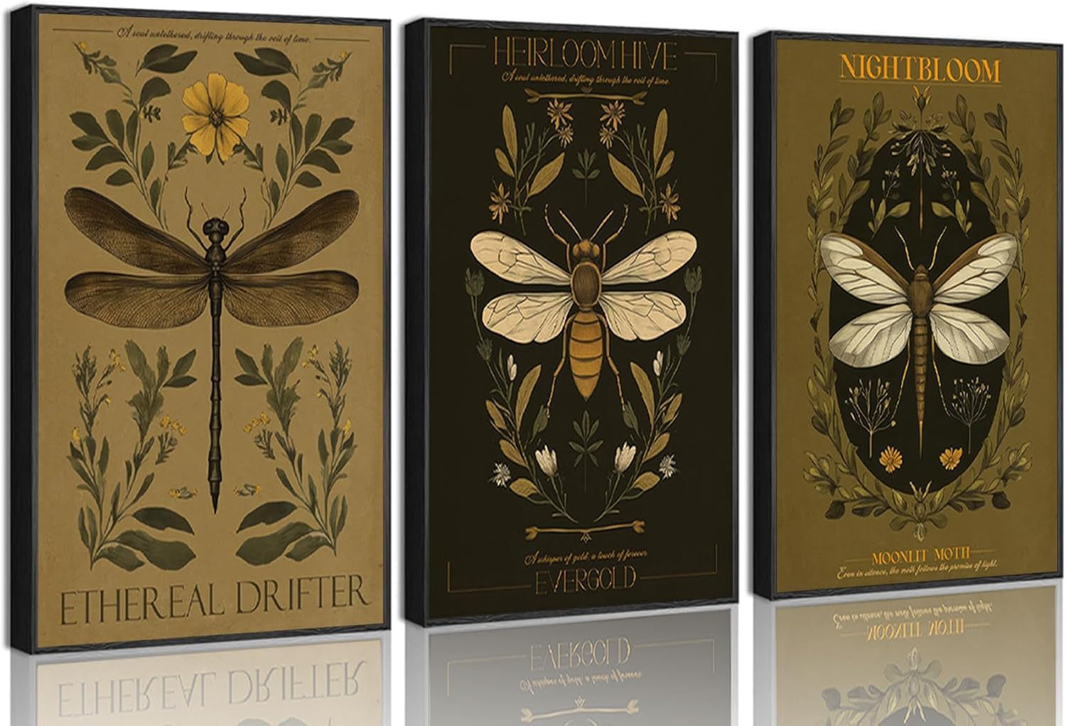 lianyibo Vintage Owad Sztuka Ścienna Ciemne Botaniczne Płótno Plakat Druki Ważki Pszczoły i Motyle Obraz Wystrój salonu (50 x 75 x 3/Ramka wewnętrzna)
