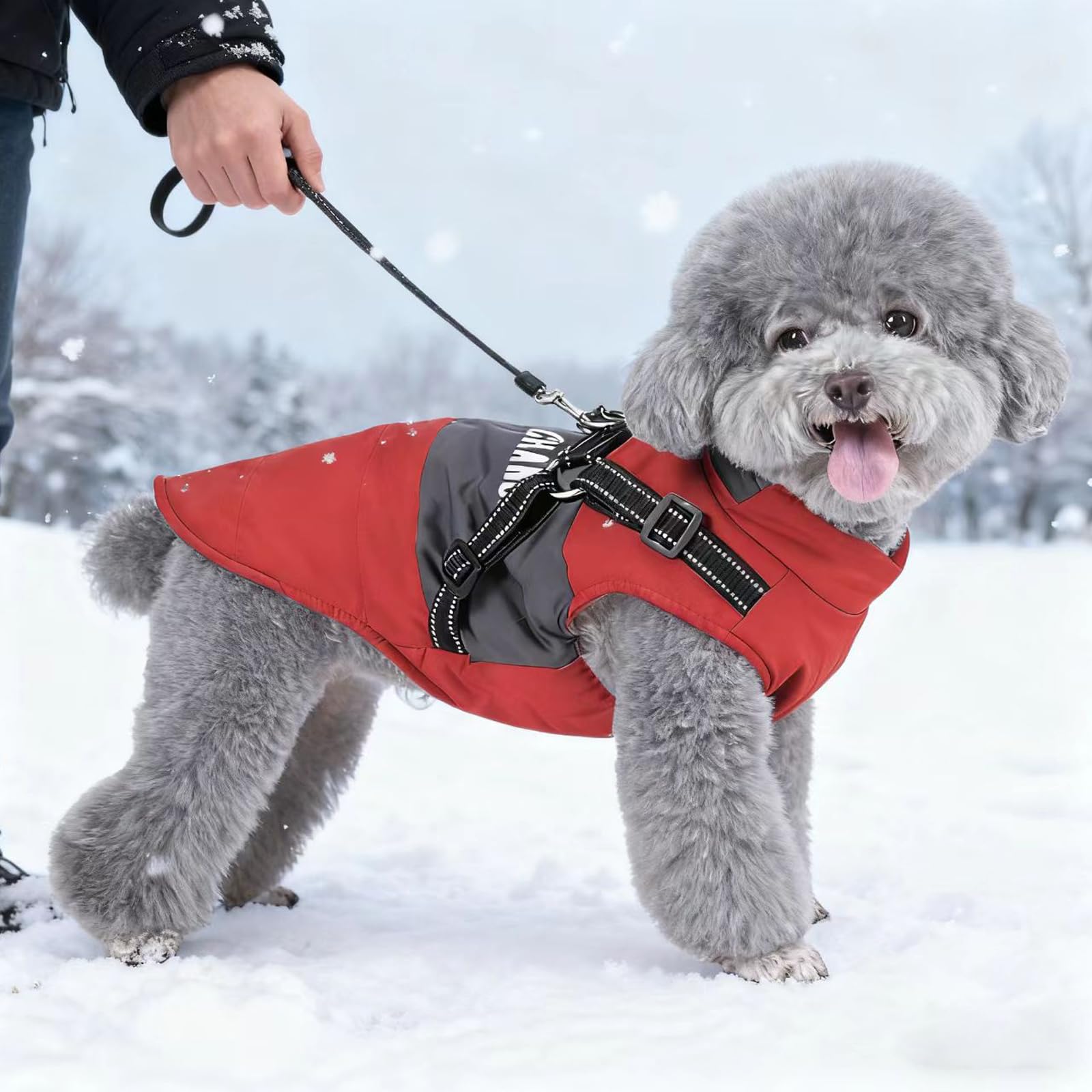 Veste pour chiens de petite et moyenne taille - Manteau d'hiver chaud et coupe-vent avec harnais - Pour animaux de compagnie - Chiots - Veste de ski d'extérieur - Rouge - Taille M