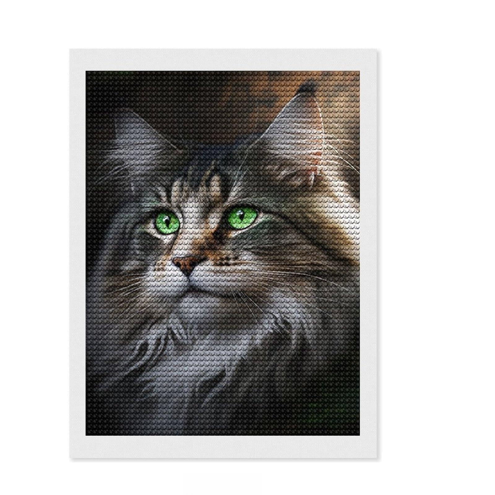 Junmoney Green Eyes Maine Coon Diamond Art Kit 12"x16", for Craft Lovers, Satisfying Creative Project, Birthday Gift, Home Wall Decor