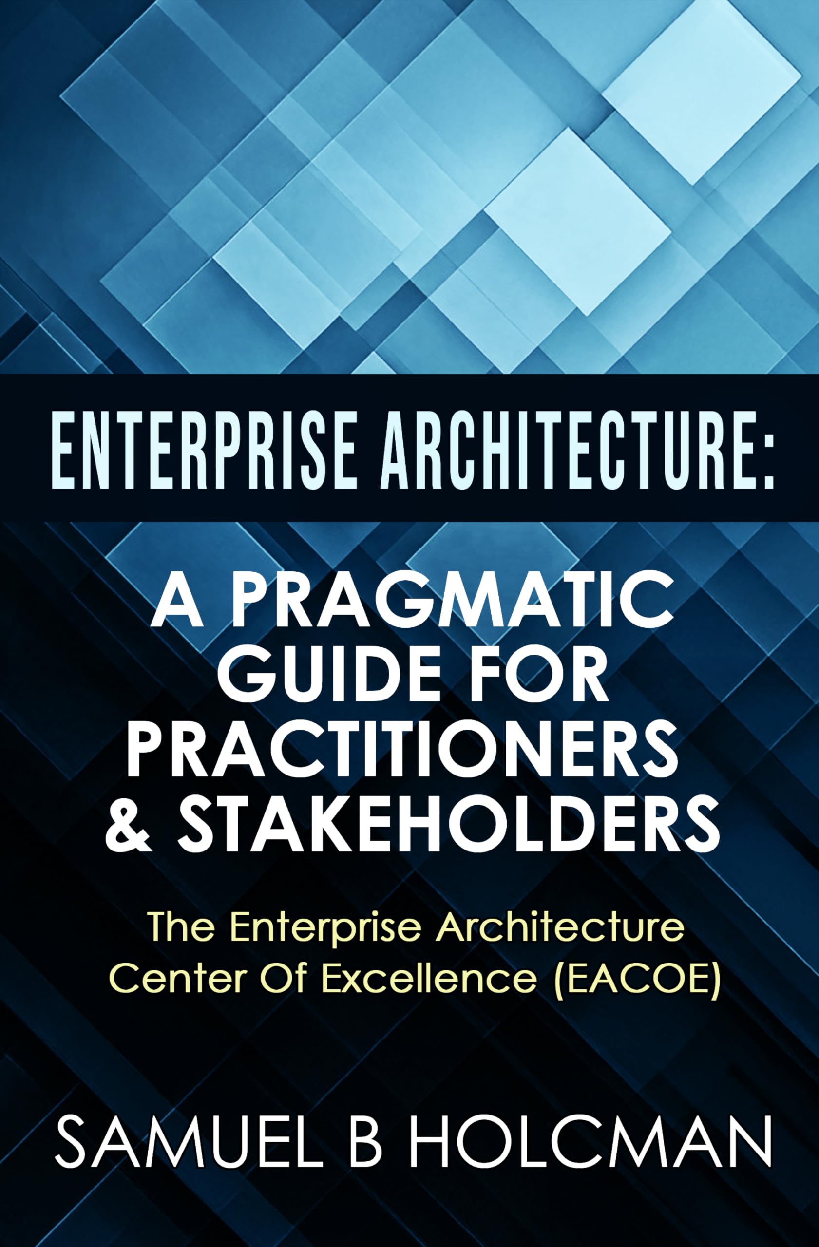 Enterprise Architecture: A Pragmatic Guide For Practitioners & Stakeholders