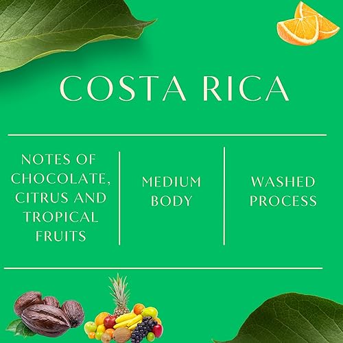 Miniatura 5 de Café de Costa Rica I Café especial de origen único I tostado medio molido I 1 bolsa (12 onzas) 11.99 oz I de Liquid Gold I 100% granos arábica