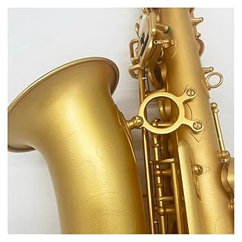 Amazon | ハイエンドマットゴールドアルトサックスEフラット