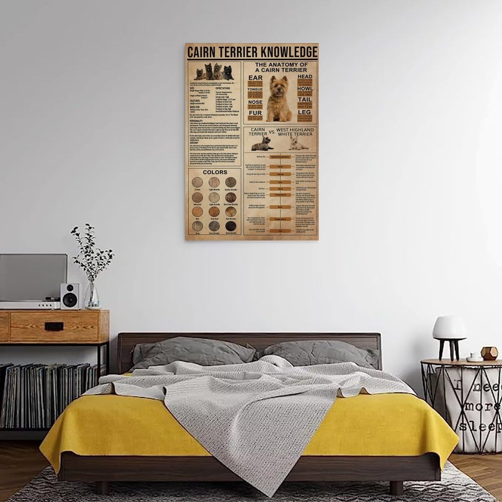 generisch Cairn Terrier Knowledge. Impresiones modernas en lienzo, pinturas decorativas para habitación de niños o niñas, murales para sala de estar y pinturas con motivos navideños 20 x 30 pulgadas
