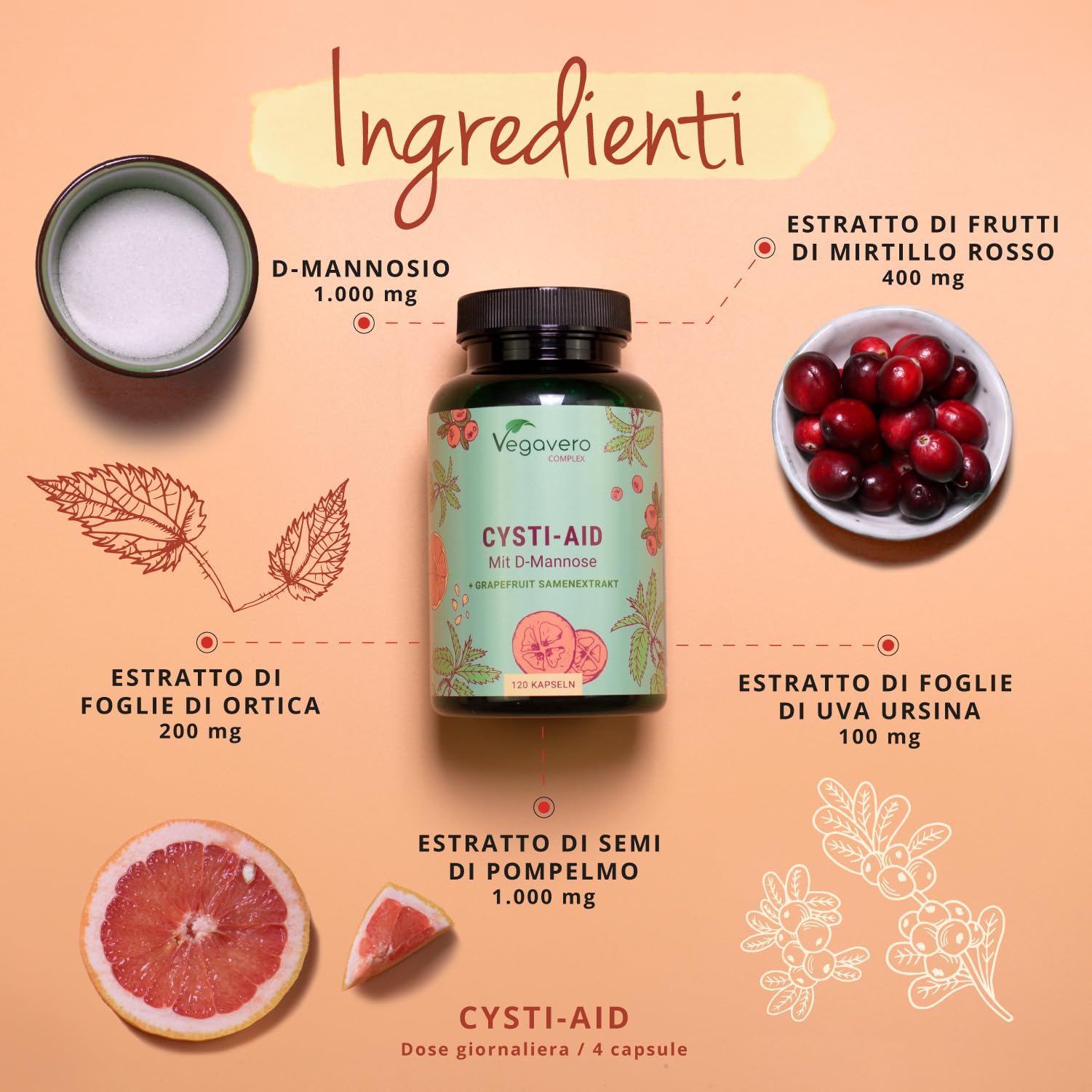 Integratore CISTITE | 100% NATURALE | con D-Mannosio, Mirtillo Rosso, Uva Ursina, Semi di Pompelmo e Ortica | 120 capsule | Benessere Vie Urinarie | Senza Additivi | Vegan | Vegavero®