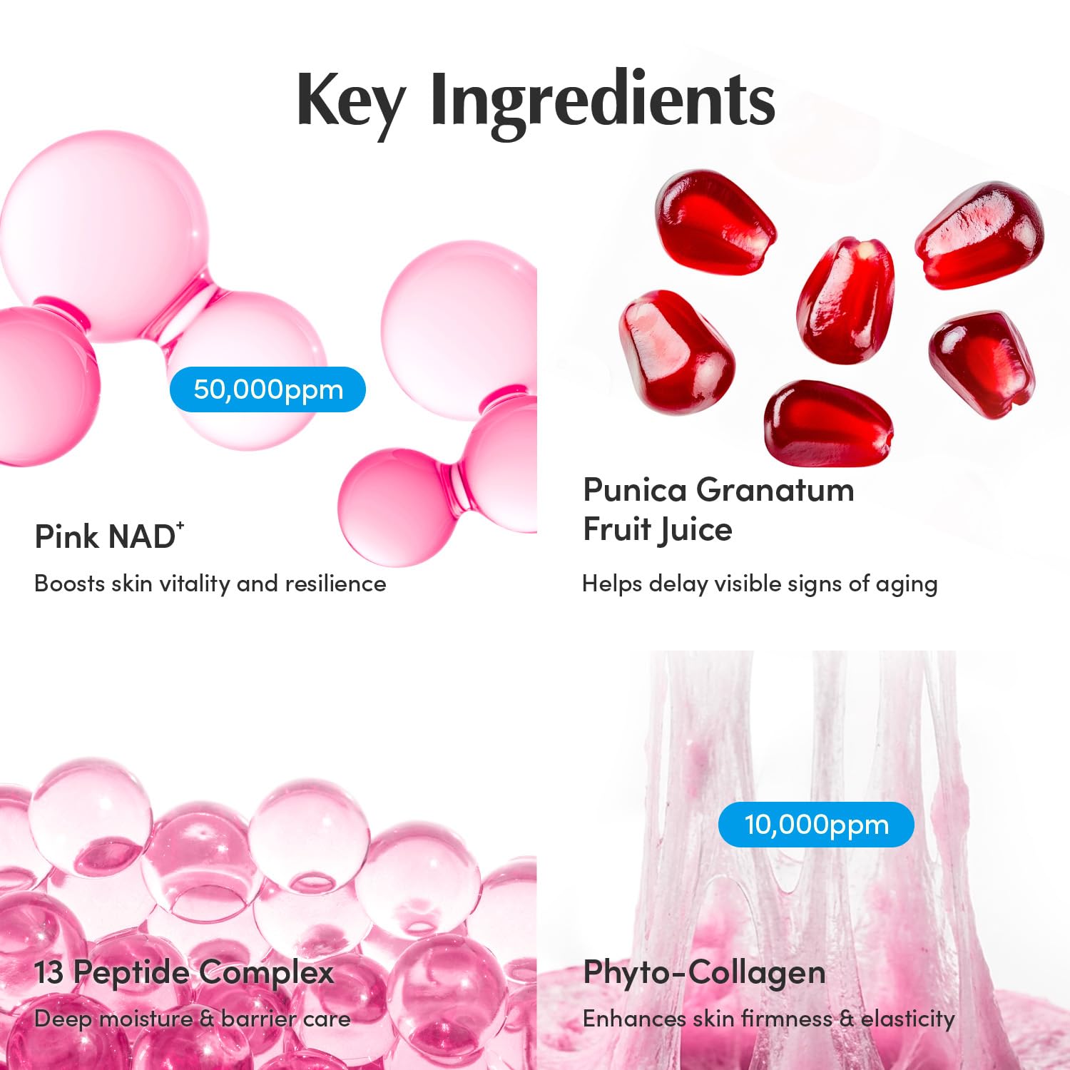 EQQUALBERRY NAD+ Peptide Boosting Cream with 13 Peptides