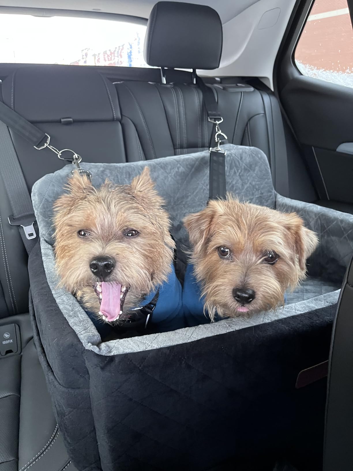Customer photo