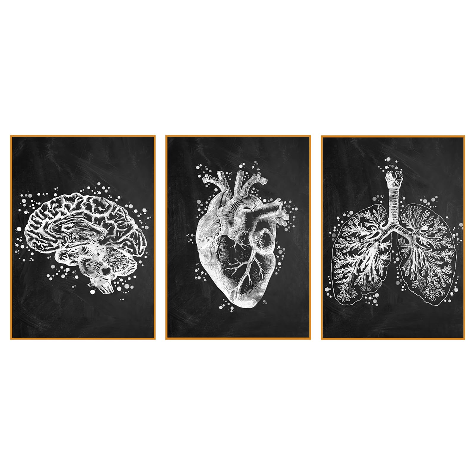 KAIDAARTLH Abstract Medicine Anatomy Poster, Organs Heart Brain Canvas Pictures - Image 2