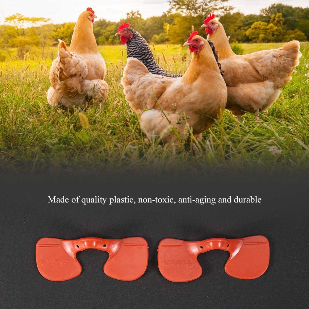 Lunettes de Poulet Anti-Picage - Protecteur Yeux Volaille en Plastique Qualité, Équipement d'Élevage 100 Pièces pour Prévenir les Blessures dans le Poulailler