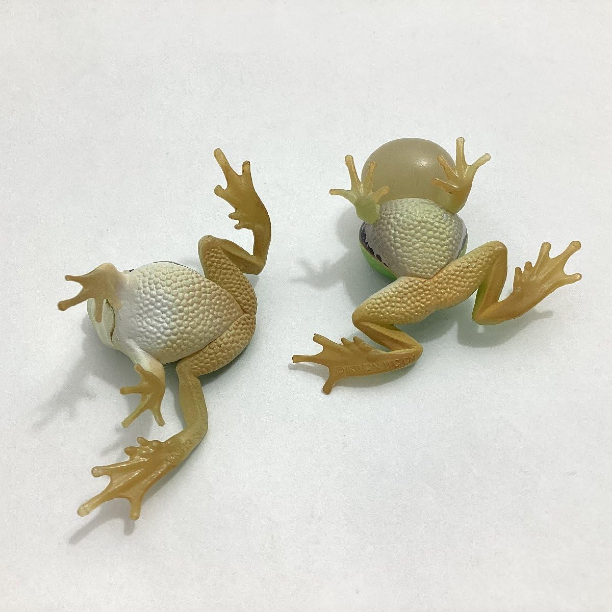Amazon | ガチャ ネイチャーテクニカラー トノサマガエルと