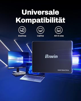 Biwin M100 1TB SSD 2.5