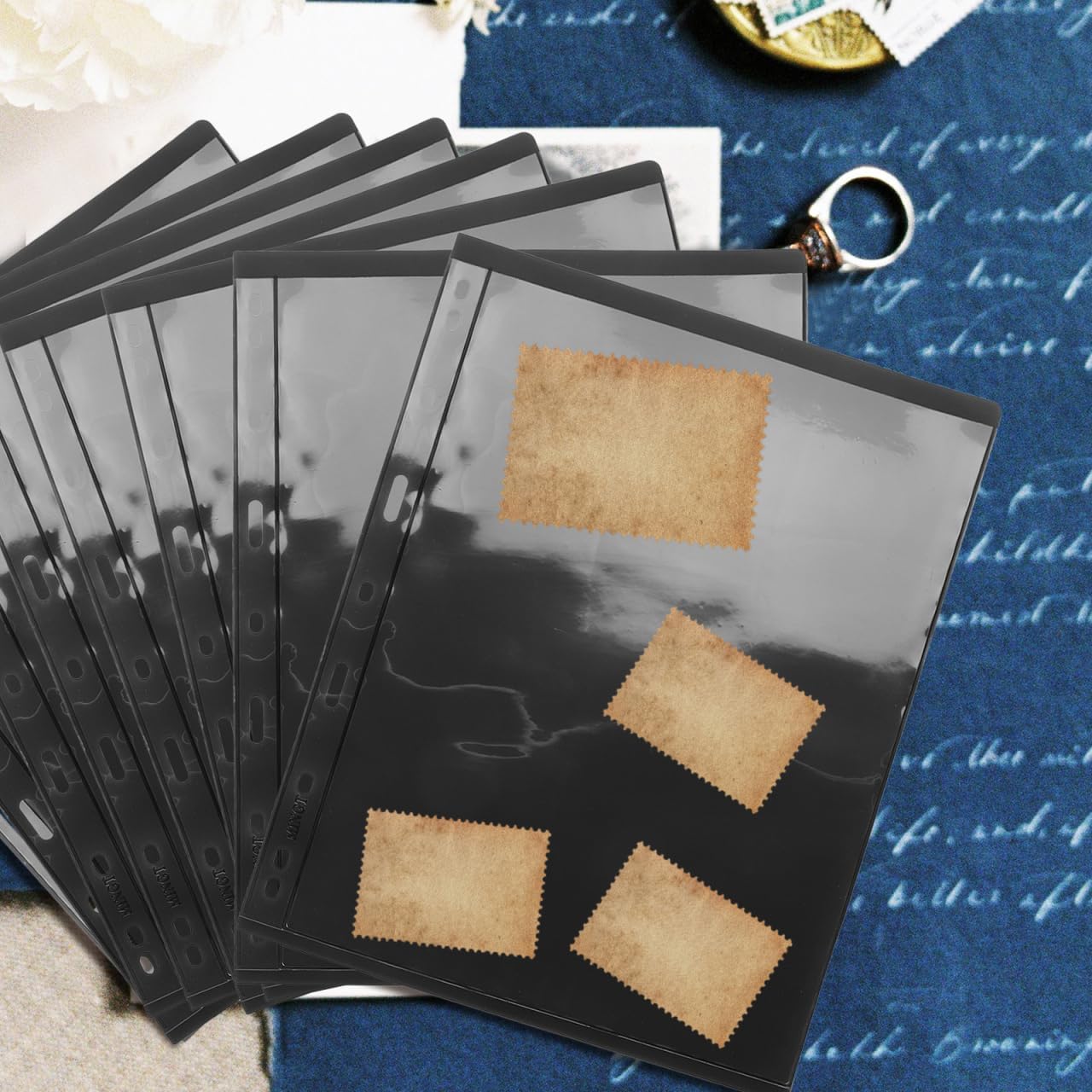 Didiseaon 10 Inner Pages for Stamp Album Inserts for Stamp Collection for Binder Album