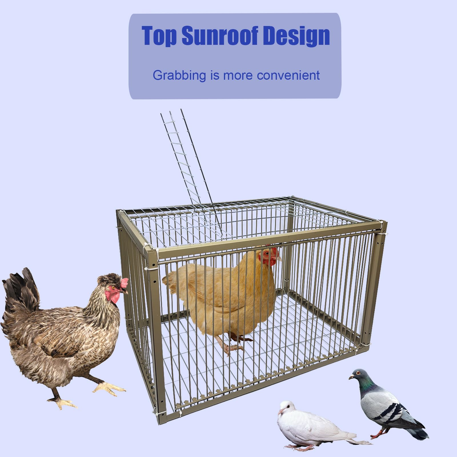 Jaula de trampa para pollos y palomas de 15 pulgadas de alto, jaula de trampa para animales pequeños con diseño a prueba de escape para pájaros, pavos, palomas (23.6 pulgadas de largo x 15.7 pulgadas
