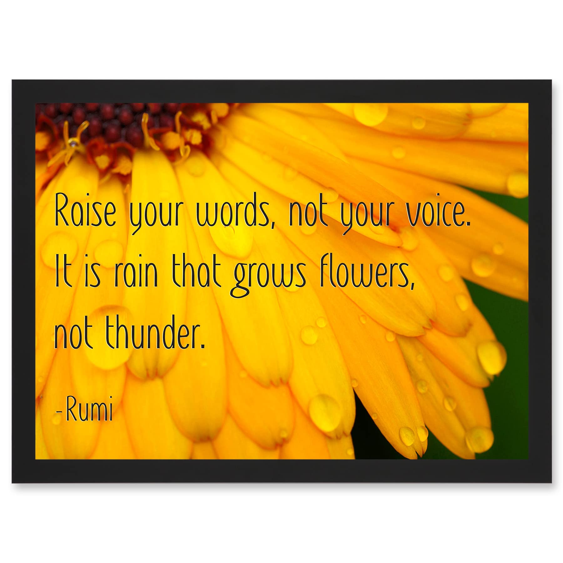 Wee Blue Coo Quote Typography Words Raise Your Words Not Voice Thunder Rumi Artwork Framed Wall Art Print A4