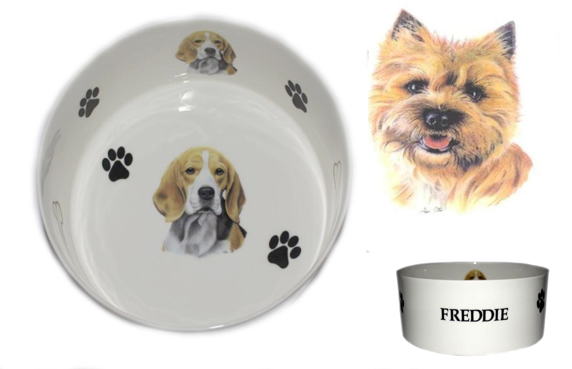 (BB19) Bone China Personalised CAIRN TERRIER dog food/water pet bowl decorated with PAWPRINTS AND BONES, Personalised with name of your choice- Many dog breeds available. Fun, colourful, new pet bowls.