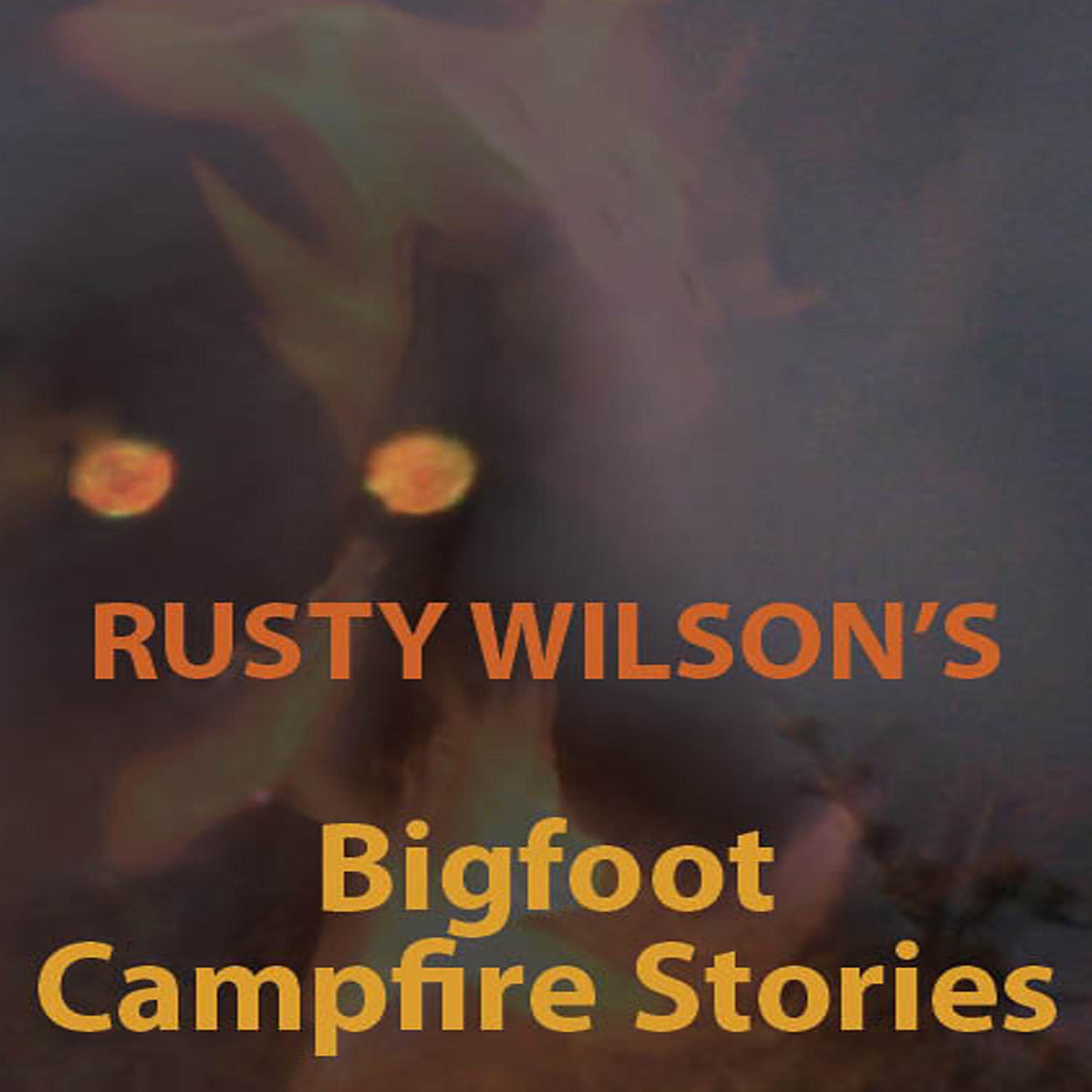 Bigfoot Campfire Stories: Collection 1