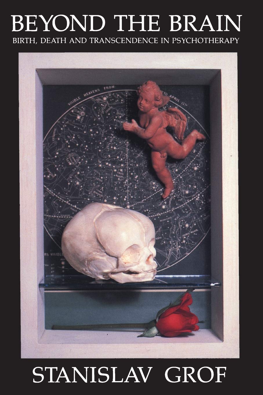 Beyond the Brain: Birth, Death, and Transendence in Psychotherapy (Suny Series, Transpersonal & Humanistic Psychology) (SUNY series in Transpersonal and Humanistic Psychology)