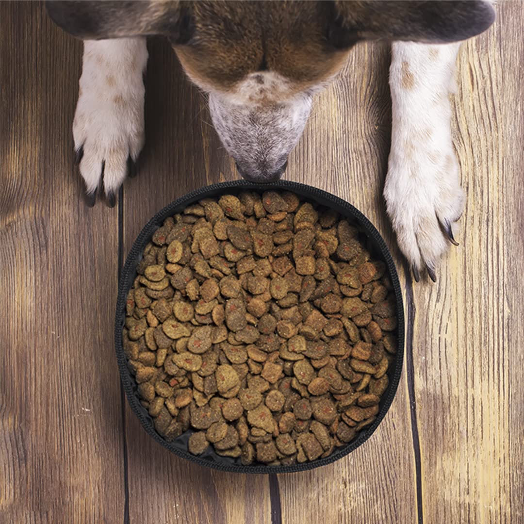 Pincho Abbeveratoio pieghevole per cani, ciotola di carta riciclata laminata e poliestere RPET, piatto pieghevole per cani, mangiatoia portatile per gatti, cani e animali domestici, per escursioni o