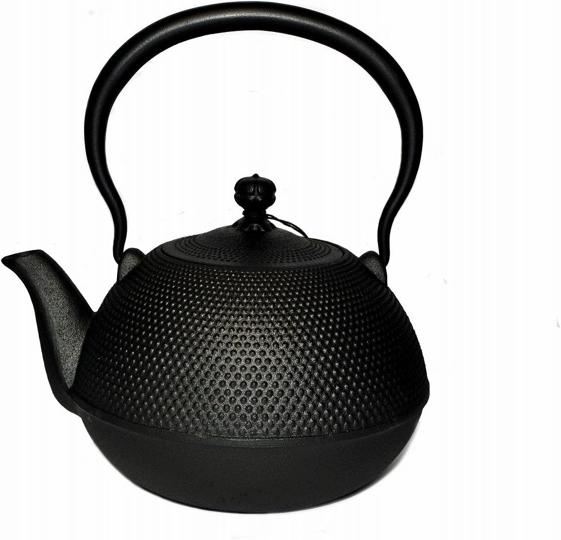 Japan Nambu Ironware Oigen Tetsubin Kettle Maromi Arare H-143