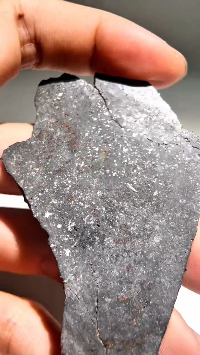 Amazon | HOCONNIE 石隕石原石 石質隕石 原石 ロシアのツァライト隕石