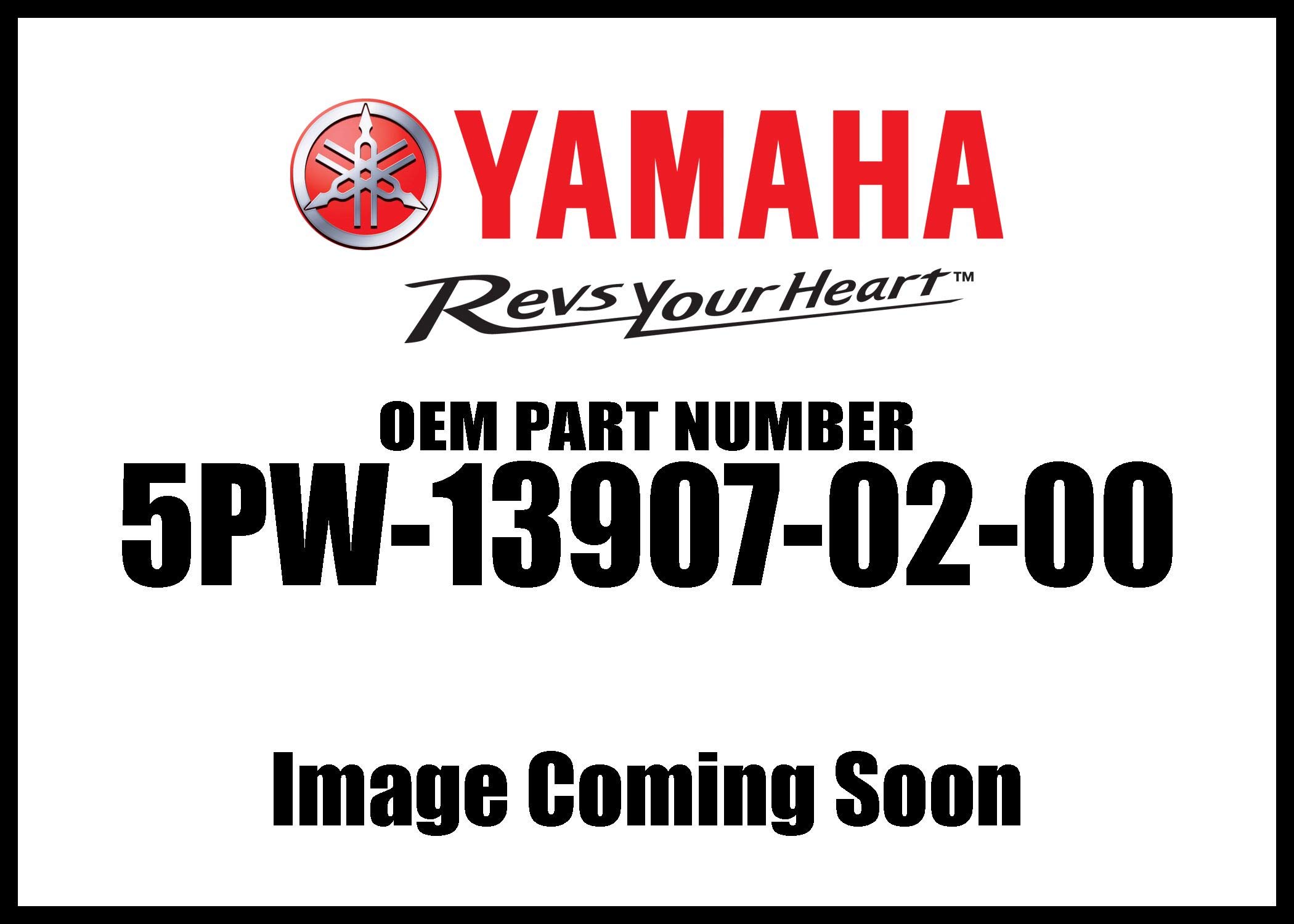 Amazon.com: Yamaha 5PW-13907-02-00 Fuel Pump Complete