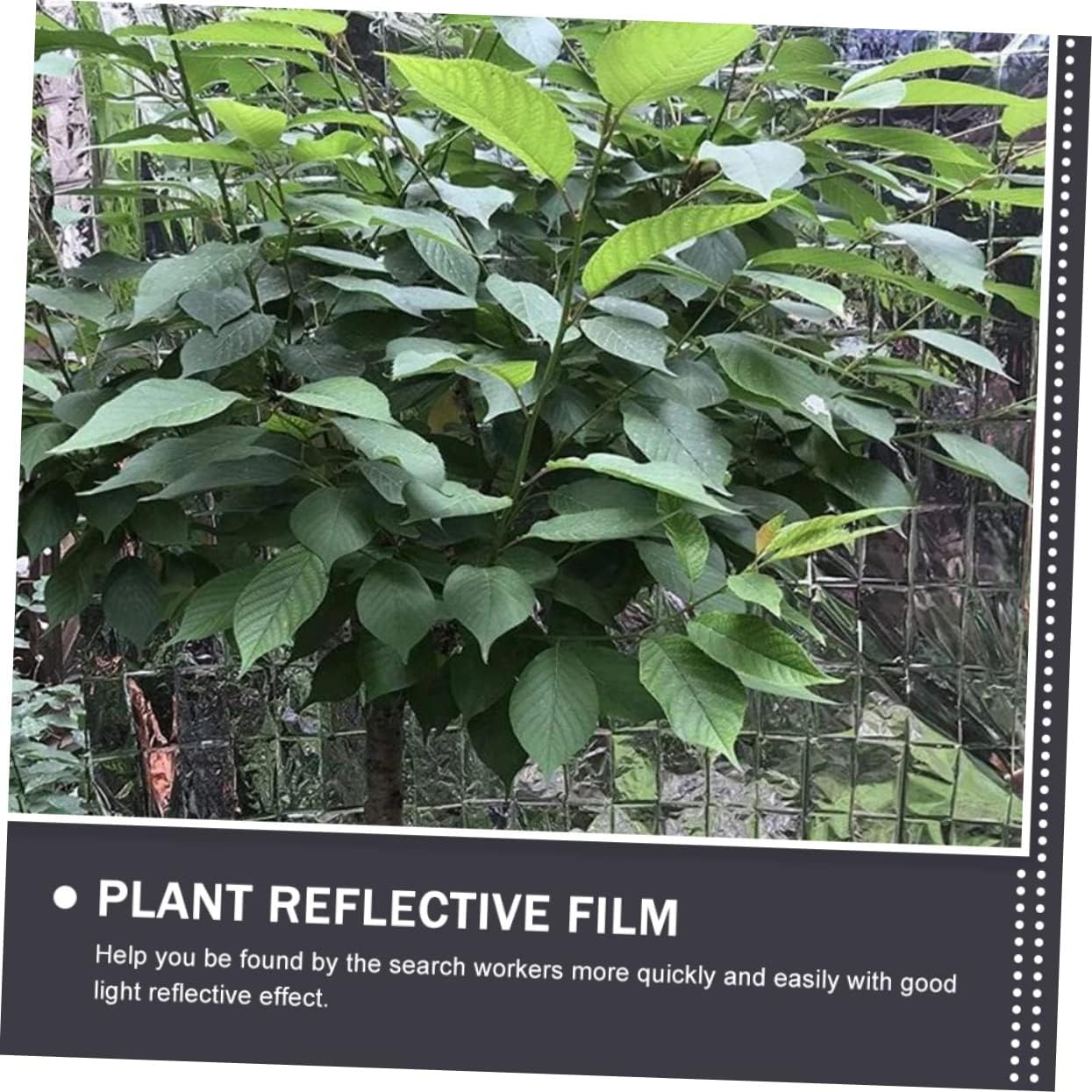 Hemoton High Reflective Plant Growth Polyethylene Film for Outdoor Greenhouses 10ft x 25ft Silver Reflective Gardening Cover UV Protection for Winter Plant Care