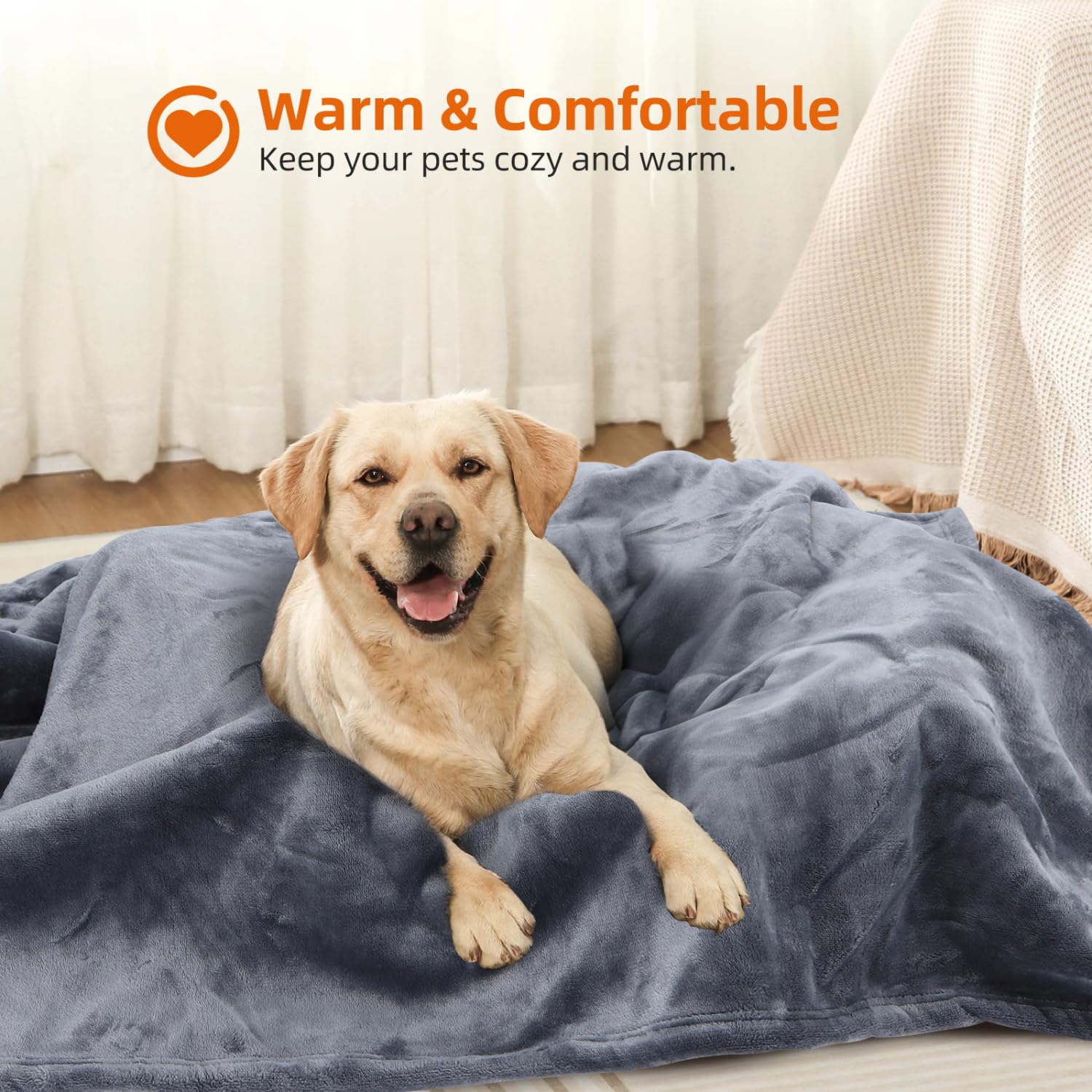 Nobleza Coperta Impermeabile per Cani, M 100 x 75cm Coperta Morbida e Soffice per Cane, Lavatrice, Reversibile Protettore per Divano, Grigio