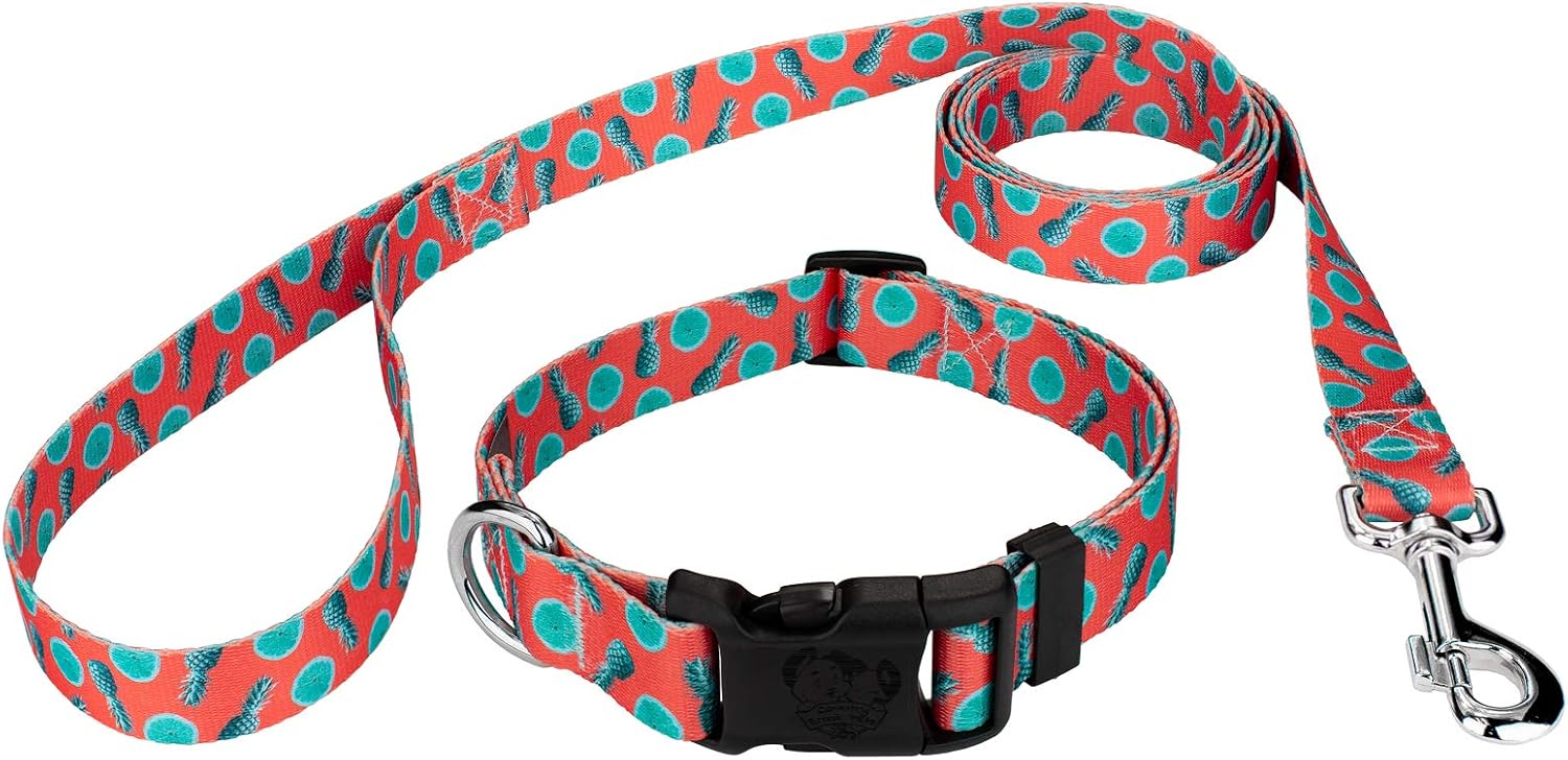 Country Brook Petz - Summer Melon Everyday Dog Collar and Leash - Tasty Collection Featuring Yummy Designs (1 Inch, Large)