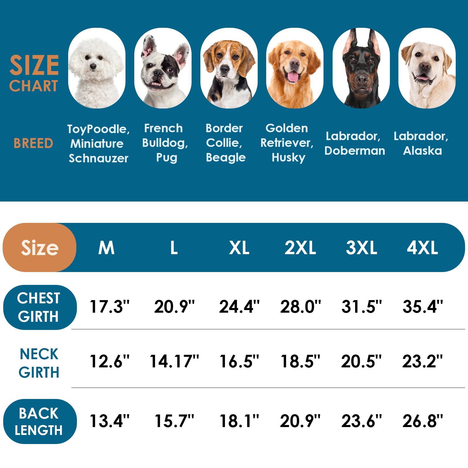 View 7