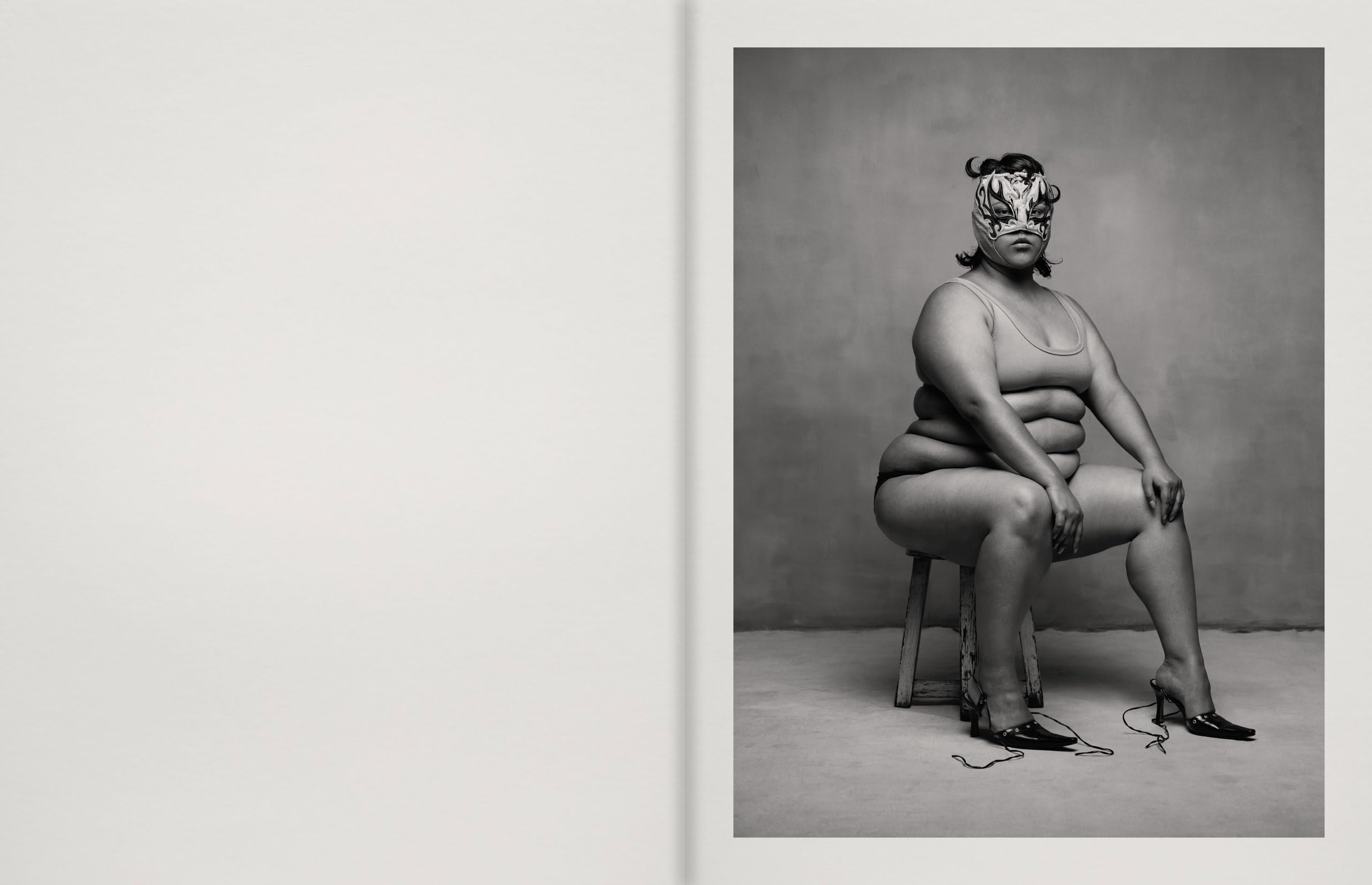 Pieter Henket: Birds of Mexico City