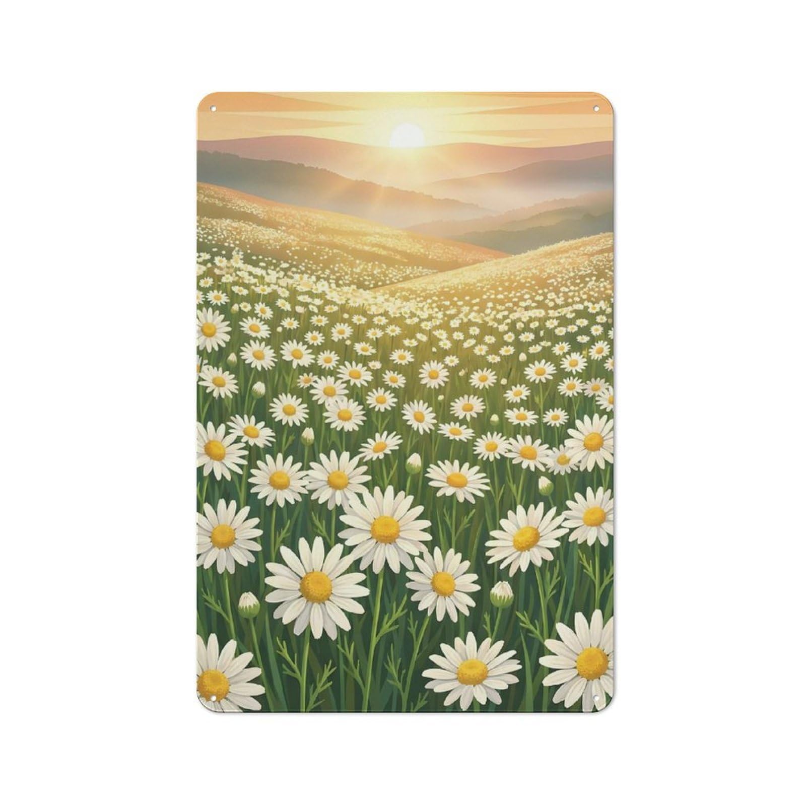 Junmoney Style-23 Tin Wall Plaque 30X20cm With Daisy Field At Sunrise For Studio Or Craft Room, Suited To Studio Decor Lovers